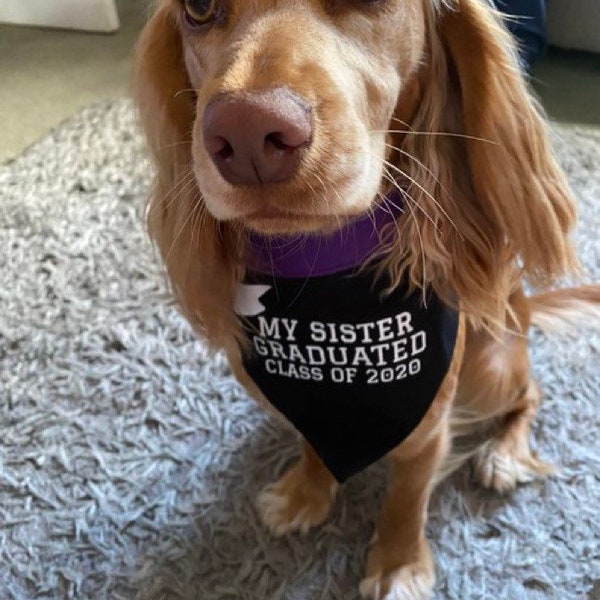 Personalised Graduation Dog Bandana in choice of colours & Styles