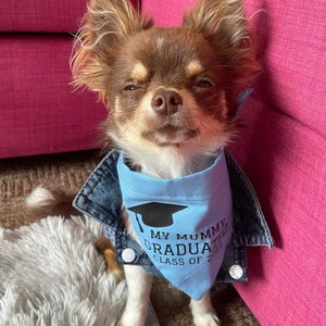 Personalised Graduation Dog Bandana in choice of colours & Styles image 4