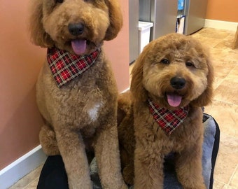 Red or Green Tartan Dog Bandana Slip on Collar Neckerchief add personalisation
