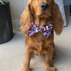 Union Jack Flag UK Dog Bow Tie Ideal for Eurovision image 1