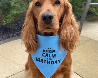 Joe Bandito I Can't Keep Calm It's my Birthday Dog Bandana Choice of Colours
