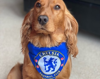 Chelsea dog jersey clearance