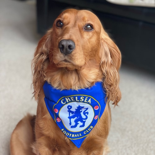 Chelsea Dog Bandana Football Slide Collar Neckerchief
