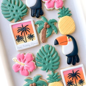 Tropical Vacation Birthday (12 cookies)