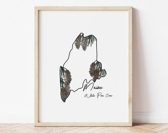 Maine State Flower Print: White Pine Cone Wall Art (Digital Download 8x10)