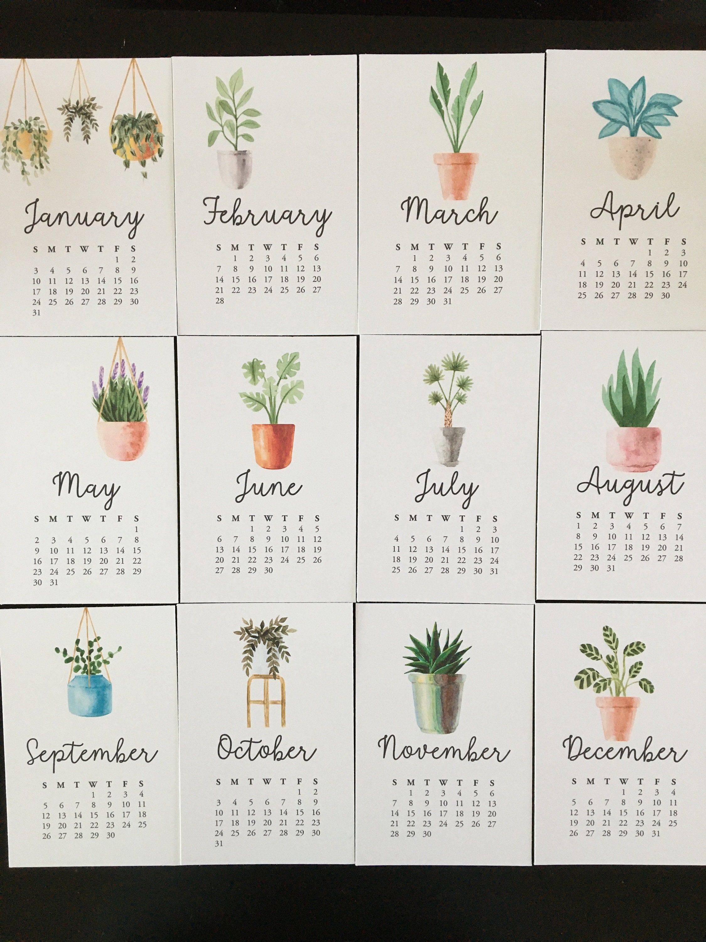 2023 Houseplant Desk Calendar Plant Mini Calendar Gifts of - Etsy