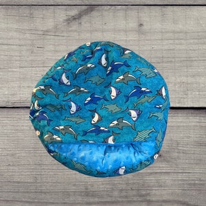 Ready to ship Round ferret bed with cover, shark print, blue minky inside image 1