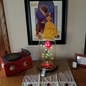 Op de afbeelding: Een glazen stolp met daarin een rode roos, verlicht met witte lampjes. De roos staat op een houten voet met rode rozenblaadjes. De stolp staat op een rood-wit geblokt tafelkleed. Een ingelijst beeld van Belle en het Beest hangt aan de muur achter de stolp.