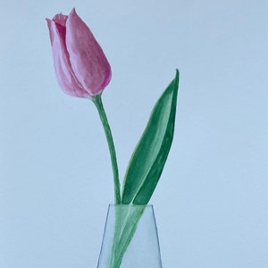 1343 Original Aquarellmalerei, Tulpe