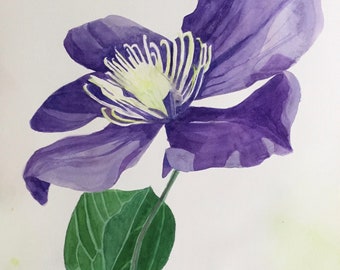 5987 Original watercolour art: Clematis