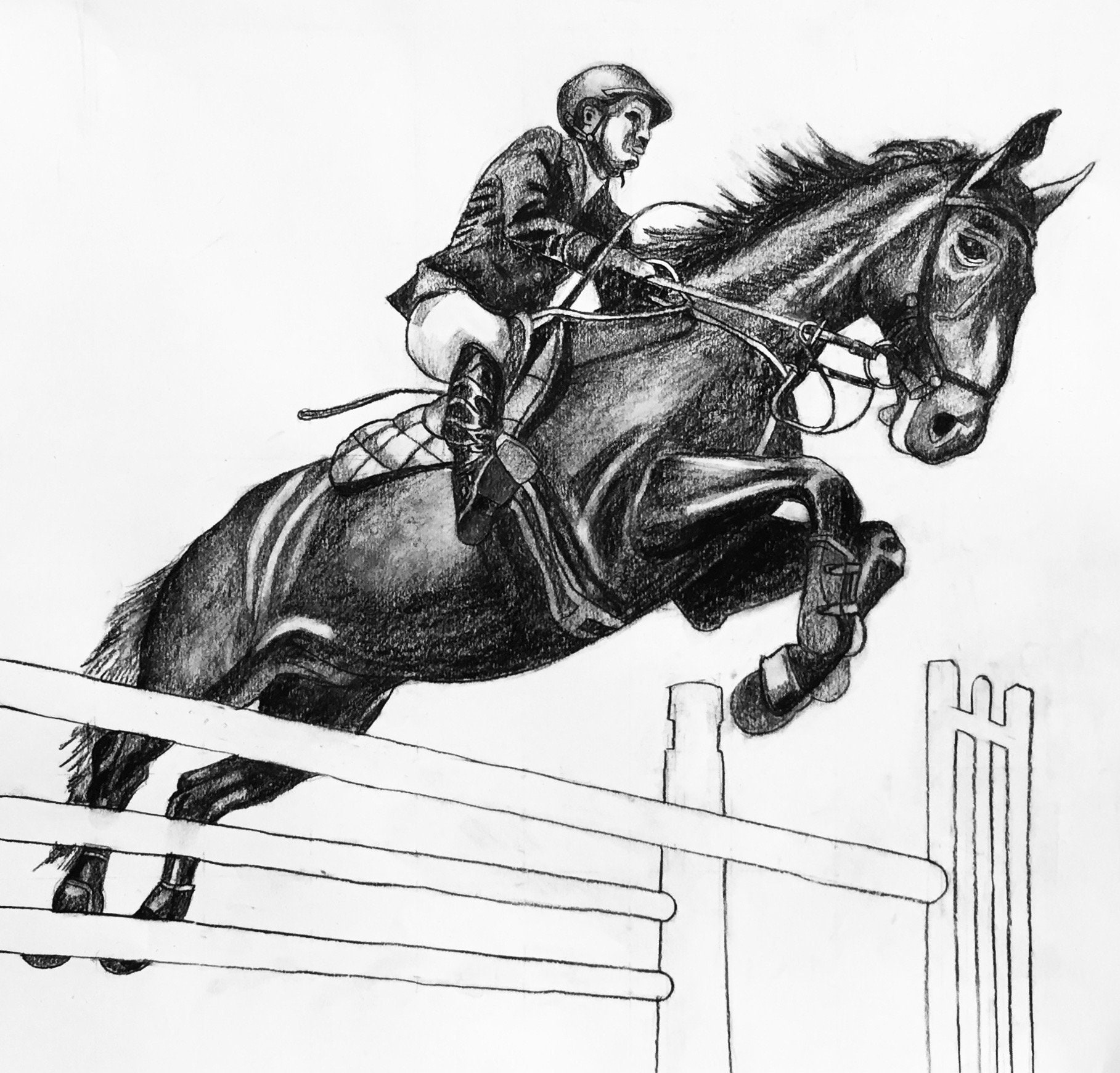 Horse Jumping Stock Photos and Images - 123RF