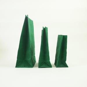 May include: Three green paper gift bags of different sizes lined up from largest to smallest.