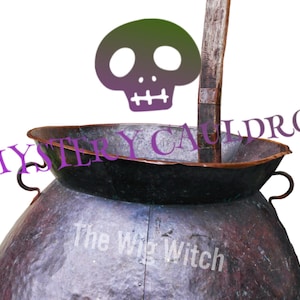 Two Wig Mystery Cauldron Two Random Best Selling Wigs in a Variety of Colors and Styles