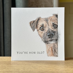 Funny Border Terrier Birthday Card: Dog Lover Gift