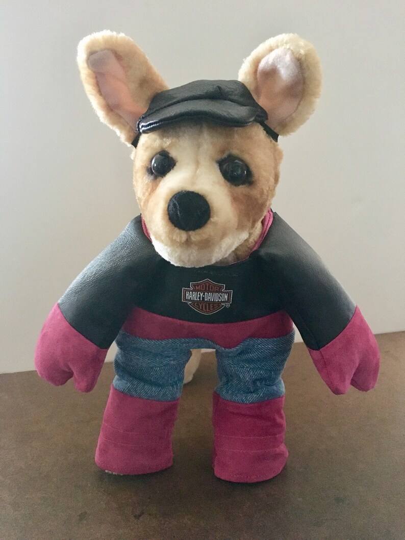 Biker Dog Harley Suit Costume
