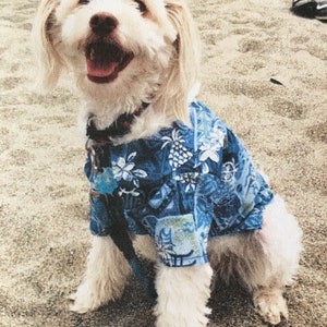 Paw-Loha Shirt