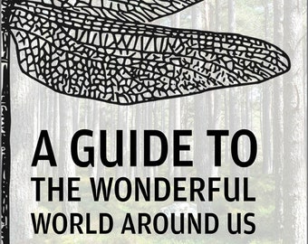 Ebook: A Guide to the Wonderful World Around Us