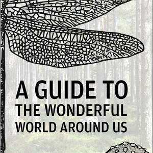 Ebook: A Guide to the Wonderful World Around Us