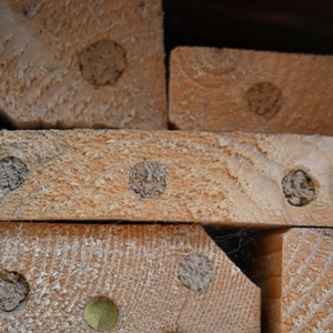 Native Bee Cabin, Bee Hotel, Mason Bees, Leafcutter bees, Handmade, Replaceable Insert Nesting Sites image 4