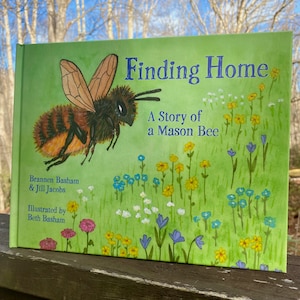 Children's Book Finding Home: A Story of a Mason Bee Bee image 1