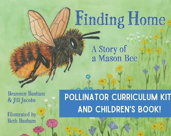 Pollinator Curriculum Kit based on Children's Bee Book, Educational Lessons, Homeschool Lesson, Pollinator Education, Mason bees