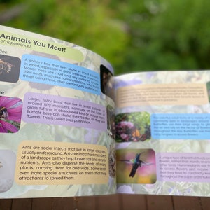 Children's Book Finding Home: A Story of a Mason Bee Bee image 6