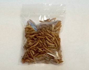 Freeze Dried Worms, Pet Treats for rat treat, chicken treat, bearded dragon treat