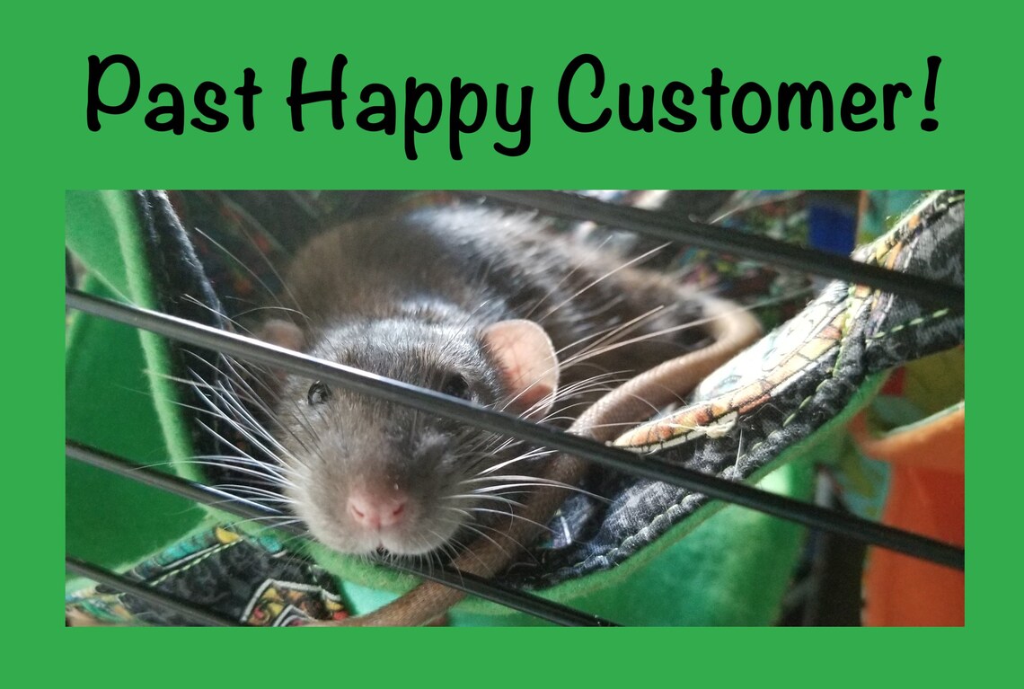 Zelda Stained Glass 2tier Hammock With Green Etsy