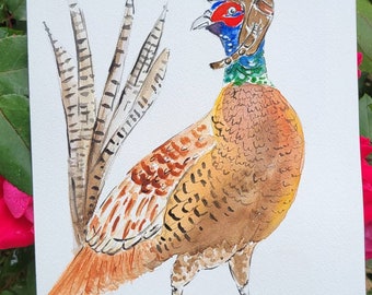 Original watercolor/acrylic illustration/painting, pheasant Illustration. 7x10"