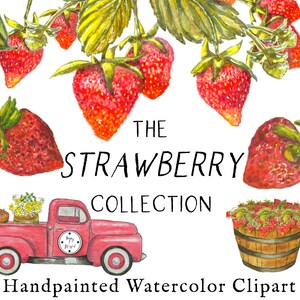 Watercolor Strawberry Clipart, Fruit Clipart, Hand Drawn Plant, Botanical Scrapbooking and Journaling, Handpainted Garden Clip art