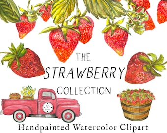 Watercolor Strawberry Clipart, Fruit Clipart, Hand Drawn Plant, Botanical Scrapbooking and Journaling, Handpainted Garden Clip art