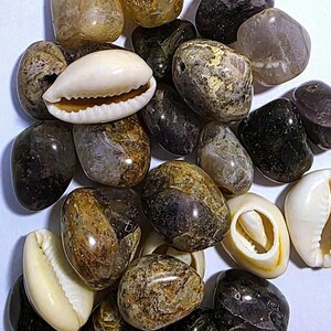 May include: A collection of polished, smooth stones in shades of brown, black, and gray, interspersed with several white, oval-shaped cowrie shells. The stones exhibit varied textures and natural patterns, while the shells feature distinct ridges.