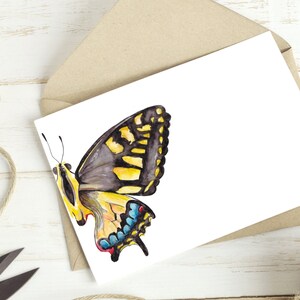 Butterfly Card Set, Tiger Swallowtail Art, Gift for Grandma Mom Aunt ...