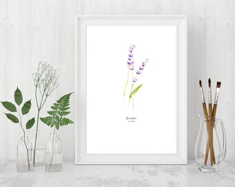 Herb watercolor painting, Kitchen decor, Lavender watercolor, Culinary art, Botanical art, Art herbs provence