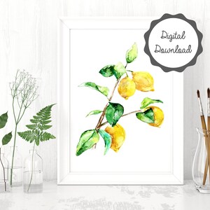 Lemon print, Downloadable lemon print, Citrus print for kitchen, Watercolor Lemon Print, Watercolor Kitchen Decor
