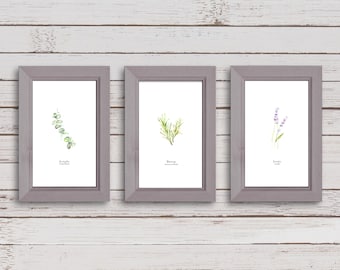 Herb Watercolor paintings, Set of 3 kitchen decor prints, Botanical print set, Eucalyptus lavender rosemary, Art herbs, Kitchen art provence