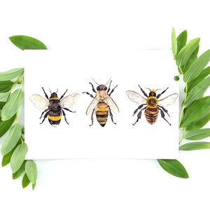 Bee card set, Bumblebee art, Watercolor bee, Save the bees, Gift for grandma mom aunt sister, Watercolor note card set