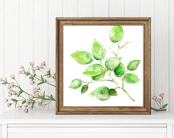 Plant watercolor, Botanical art print, Square watercolor art, Plant decor, Minimalist kitchen decor