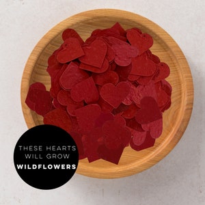 Mini plantable paper hearts-red-paper hearts-seed paper hearts-seed paper-wedding-wedding favours-plantable hearts-hearts-wedding-Valentines