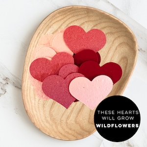 Valentines Day seed paper hearts-paper hearts-seed paper hearts-seed paper-Valetines day card-plantable hearts-unique Valentine gifts