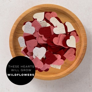 Día de San Valentín papel de semilla corazones-corazones de papel-corazones de papel de semilla-papel de semilla-tarjeta del día de San Valentín-corazones plantables-regalos únicos de San Valentín