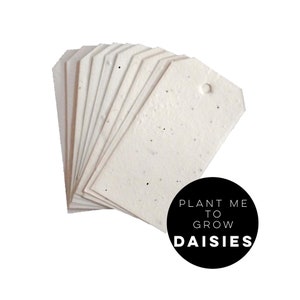 10 Set-Geschenkanhänger-Saatpapier-Geschenkanhänger-Saatpapier-Geschenkanhänger-Geschenkanhänger-Saatkarten-pflanzenbare Anhänger-Saatanhänger-Aufhängeanhänger