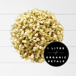 1 litro Bulk Petal coriandoli-gemme di gelsomino organico-coriandoli biodegradabili-coriandoli di fiori-coriandoli nuziali-matrimonio-gelsomino-gelsomino biologico