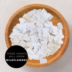Mini plantable paper hearts | paper hearts | seed paper hearts | seed paper | wedding | wedding favours | plantable hearts | seed gift | eco