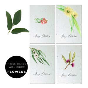 Jeu de 4 cartes de Noël à planter | Carte durable | carde à planter | papier graine | Cartes de Noël australiennes | cartes de vœux respectueuses de l'environnement