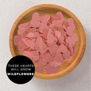 Mini plantable paper hearts-pink-paper hearts-seed paper hearts-seed paper-wedding-wedding favours-plantable hearts-hearts-wedding-Valentine