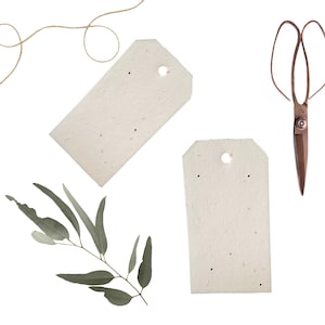10 set Plantable gift tags | swing tag | plantable seed paper gift tags | place cards | wedding favors | name cards | seed paper eco cards
