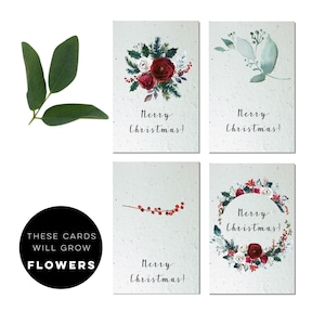 Juego de 4 tarjetas navideñas plantables / Tarjeta sostenible / Tarjeta plantable / Papel con semillas / Tarjetas festivas / Tarjetas navideñas / Tarjetas de felicitación