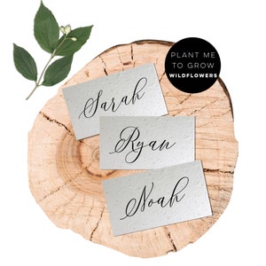 Tarjetas de lugar de papel con semillas plantables hechas a mano / Boda / Fiesta / Tarjetas de nombre / Ecológico / Tarjetas de nombre plantables / tarjetas de lugar de boda