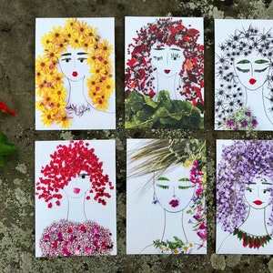 Conjunto de seis cartas. Retratos botânicos de uma planta floral, senhoras. Cartões botânicos.